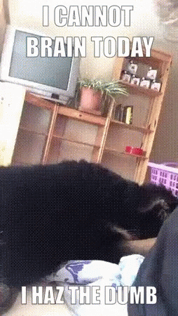Dog Laying On Bed I Cannot Brain Today GIF