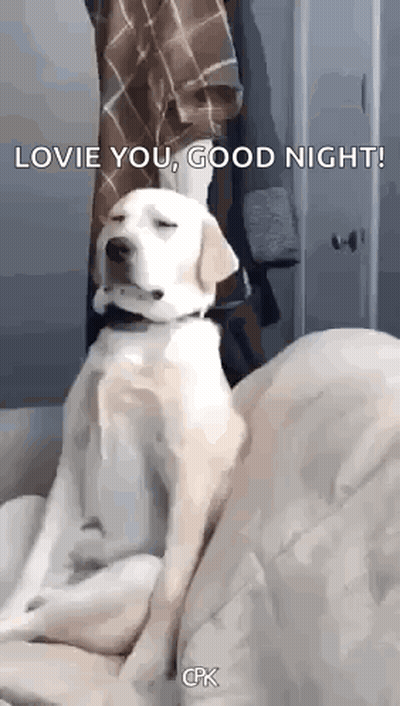 Dog Laying On Bed Saying Good Morning GIF