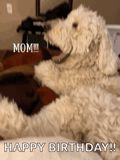 Dog Laying On Bed Saying Mom Happy Birthday GIF