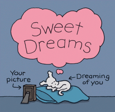 Dog Laying On Bed Saying Sweet Dreams GIF
