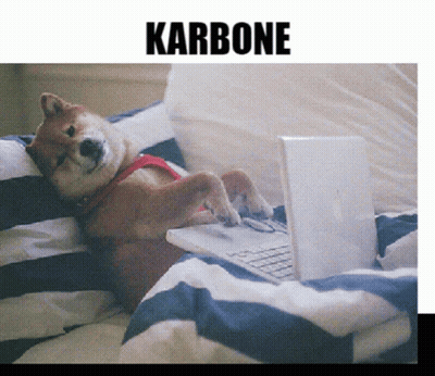 Dog Laying On Bed With Laptop Karbone GIF