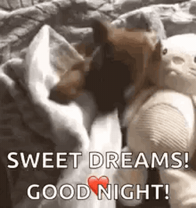 Dog Laying On Bed With Stuffed Animal And Blanket GIF