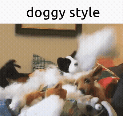 Dog Laying On Bed With Stuffed Animals Saying Doggy Style GIF