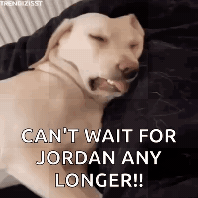 Dog Laying On Bed With Tongue Out Saying Can't Wait For Jordan Any Longer GIF
