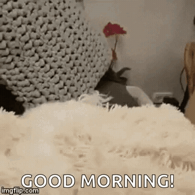 Dog Laying On Blanket Saying Good Morning GIF