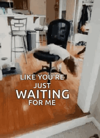 Dog Laying On Chair Saying Like You're Just Waiting For Me GIF