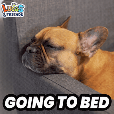 Dog Laying On Couch Going To Bed GIF