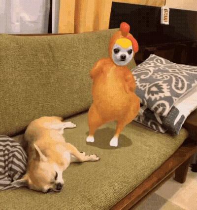 Dog Laying On Couch Next To Chicken Costume GIF