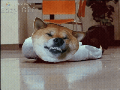 Dog Laying On Floor Eyes Closed Edited With GIF