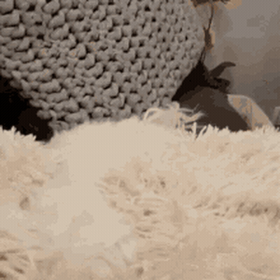 Dog Laying On Fluffy White Rug Next To Knitted Ottoman GIF