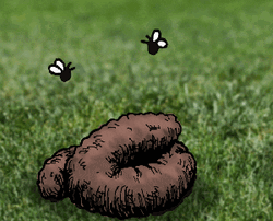 Dog Licking Nasty Poop Animation GIF