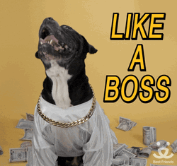 Dog Like Boss Makes A Dollar I Make A Dime GIF