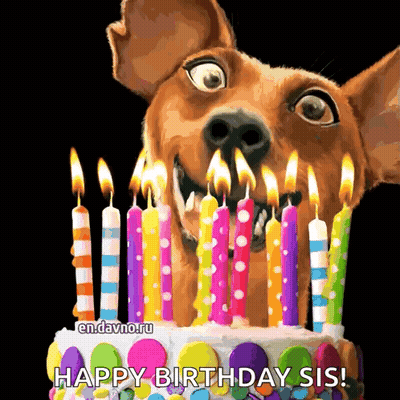 Dog Looking At Birthday Cake With Candles GIF