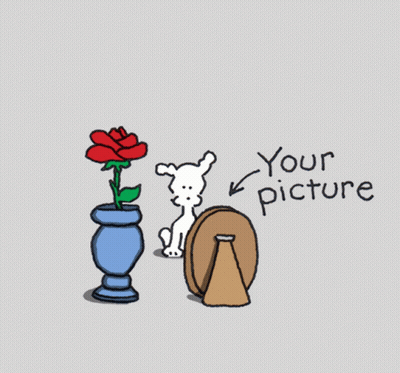Dog Looking At Picture Frame Saying Your Picture GIF