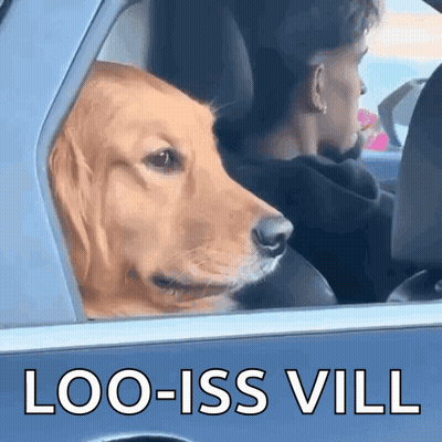 Dog Looking Out Car Window Saying Loo-Iss Vill GIF