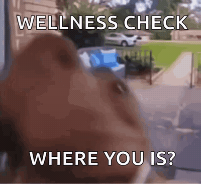 Dog Looking Out Window Saying Wellness Check Where You GIF