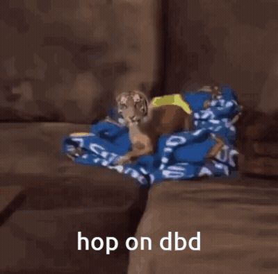 Dog Looks Like Tiger Hop On DBD GIF