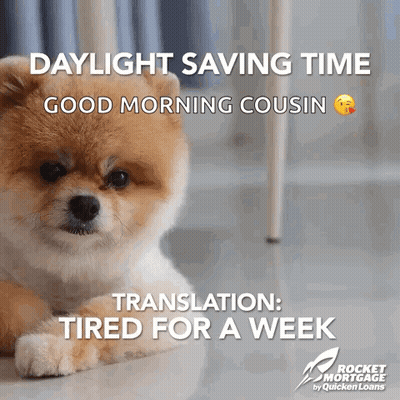 Dog Lying Down With Daylight Saving Time GIF