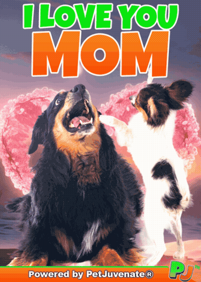 Dog Lying Next To Happy Mom Balloon GIF