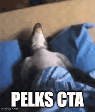 Dog Lying On Bed Pelks Cta GIF