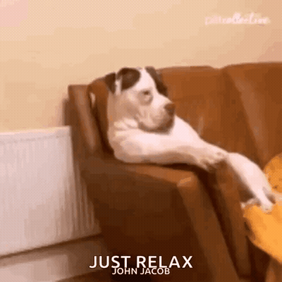 Dog Lying on Couch Armrest
