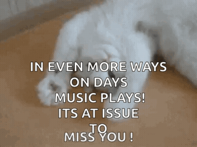 Dog Lying On Floor With Words GIF