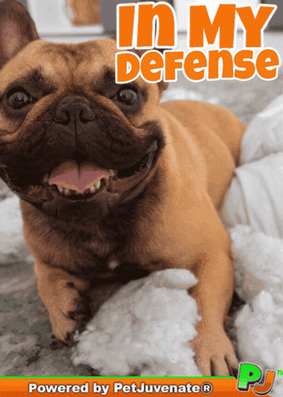 Dog Lying On Stuffed Animals In My Defense GIF