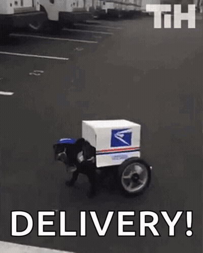 Dog Mailman Driving With Box On Back GIF