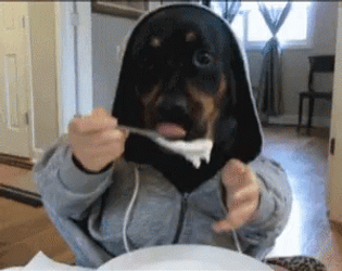 Dog Man Chaotic Eating GIF