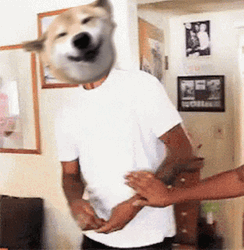 Dog Man Smiling Reaction GIF