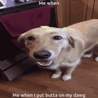 Dog Me When Me When I Put Butta On My Dawg GIF