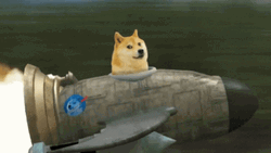 Dog Meme Spaceship Rocket GIF