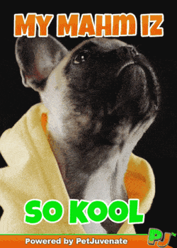 Dog Mom Fun Gif Doggo Mahm Love Cuddle Up Cute Gif GIF