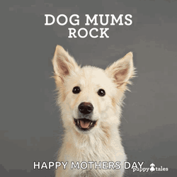 Dog Moms Rock Happy Dog Mother's Day GIF