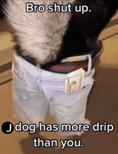 Dog Money Belt Bro Shut Up J Dog More Drip GIF