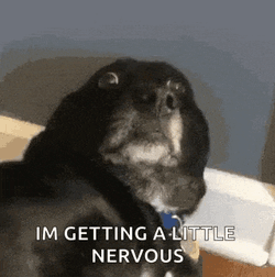 Dog Nervous GIF