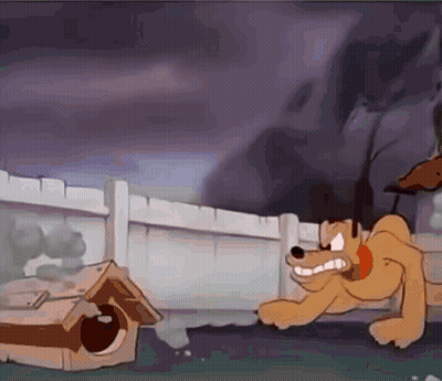 Dog Next To Dog House GIF