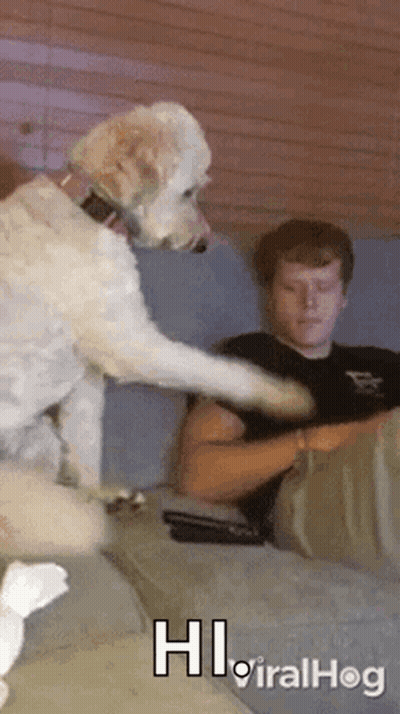 Dog Next To Man On Couch Saying Hi Viralhog GIF
