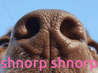 Dog Nose With Pink Shnorp Shnorp GIF