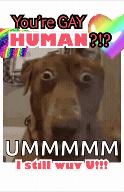 Dog On Dirt Road Who Let The Dogs Out GIF
