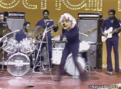Dog On Drum Set Nature Doge69 GIF