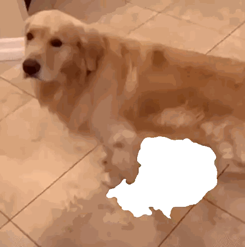 Dog On Floor With Outline Sticker