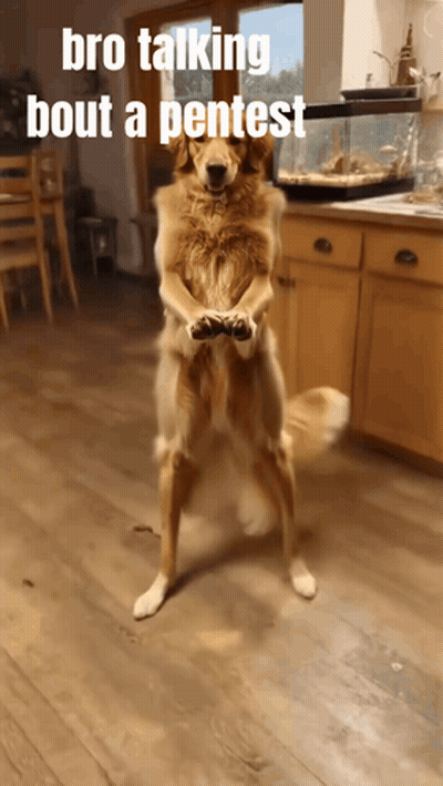 Dog On Hind Legs Bro Talking Bout Pentest GIF