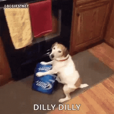 Dog On Hind Legs With Bud Light Beer Cans GIF