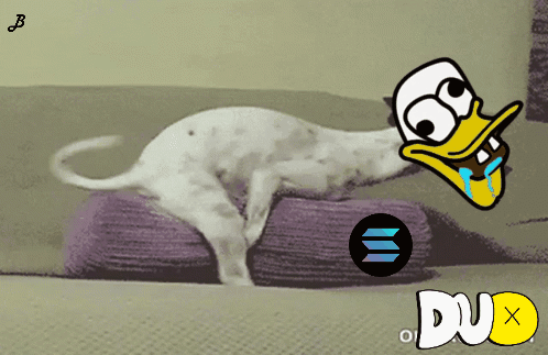 Dog On Purple Pillow Next To Duck With Duo GIF