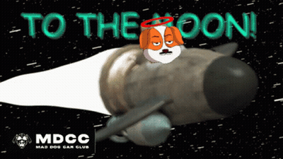 Dog On Rocket To The Moon GIF
