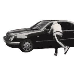 Dog On Top Of Car Sticker