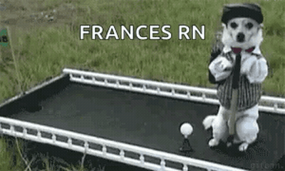 Dog On Trampoline Holding Golf Club And Ball GIF