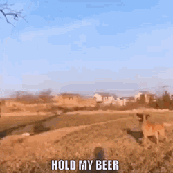 Dog Parkour Hold My Beer Meme GIF