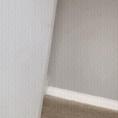 Dog Peeking From Behind Wall GIF